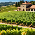 The Top Wineries in the World: A Wine Expert's Perspective